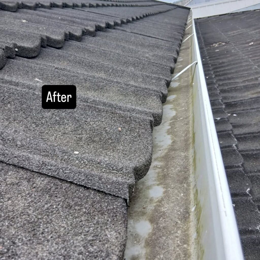 Clean and Clear GutterGood ResultsFinished WorkHappy Customer