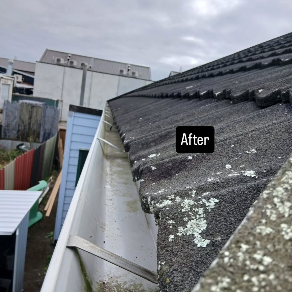 Clean and Clear GutterGood ResultsFinished WorkHappy Customer