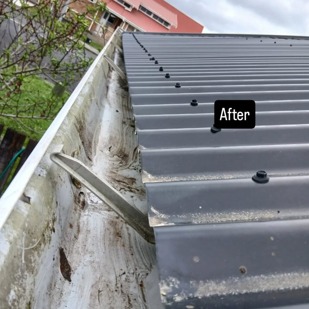 Clean and Clear GutterGood ResultsFinished WorkHappy Customer
