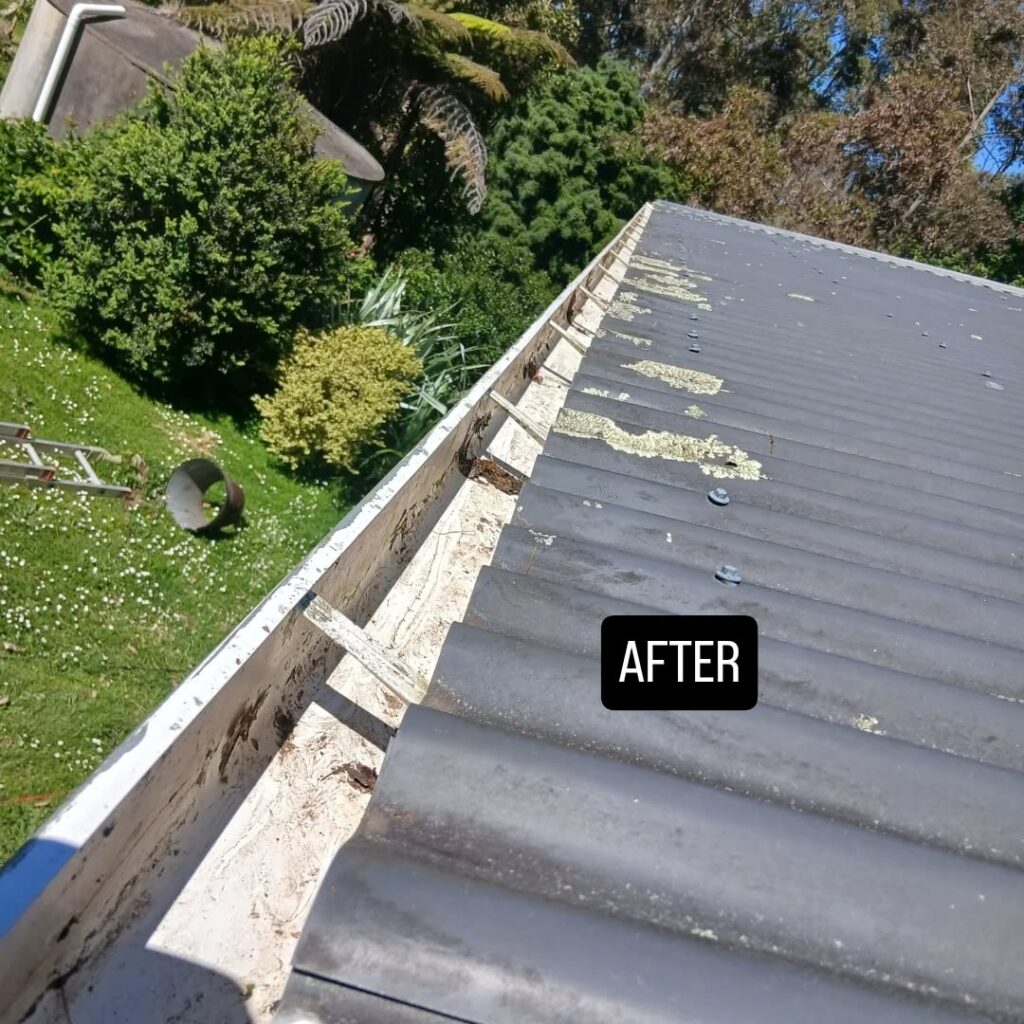 Clean and Clear GutterGood ResultsFinished WorkHappy Customer