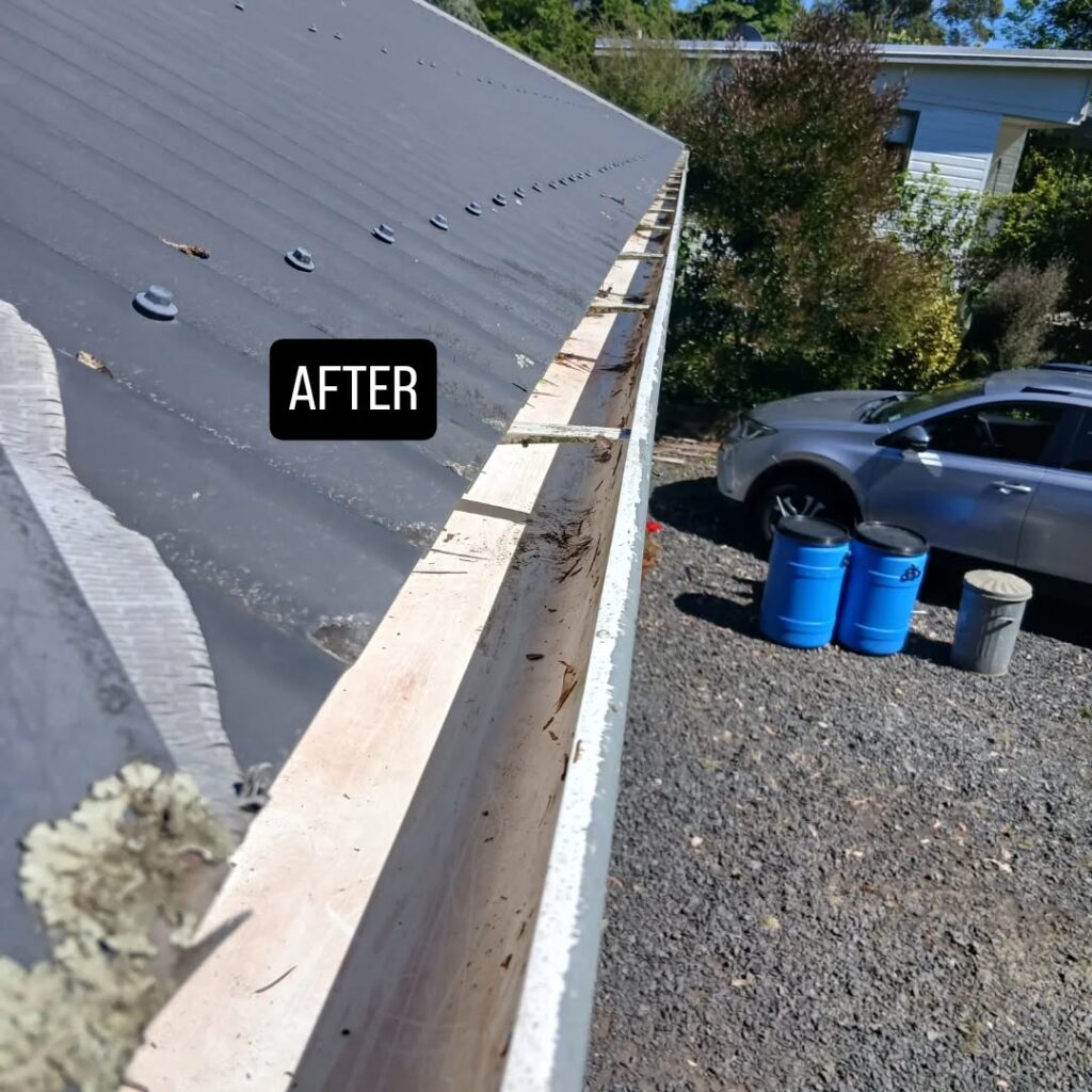 Clean and Clear GutterGood ResultsFinished WorkHappy Customer