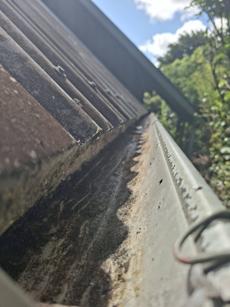 Clean and Clear GutterGood ResultsFinished WorkHappy Customer