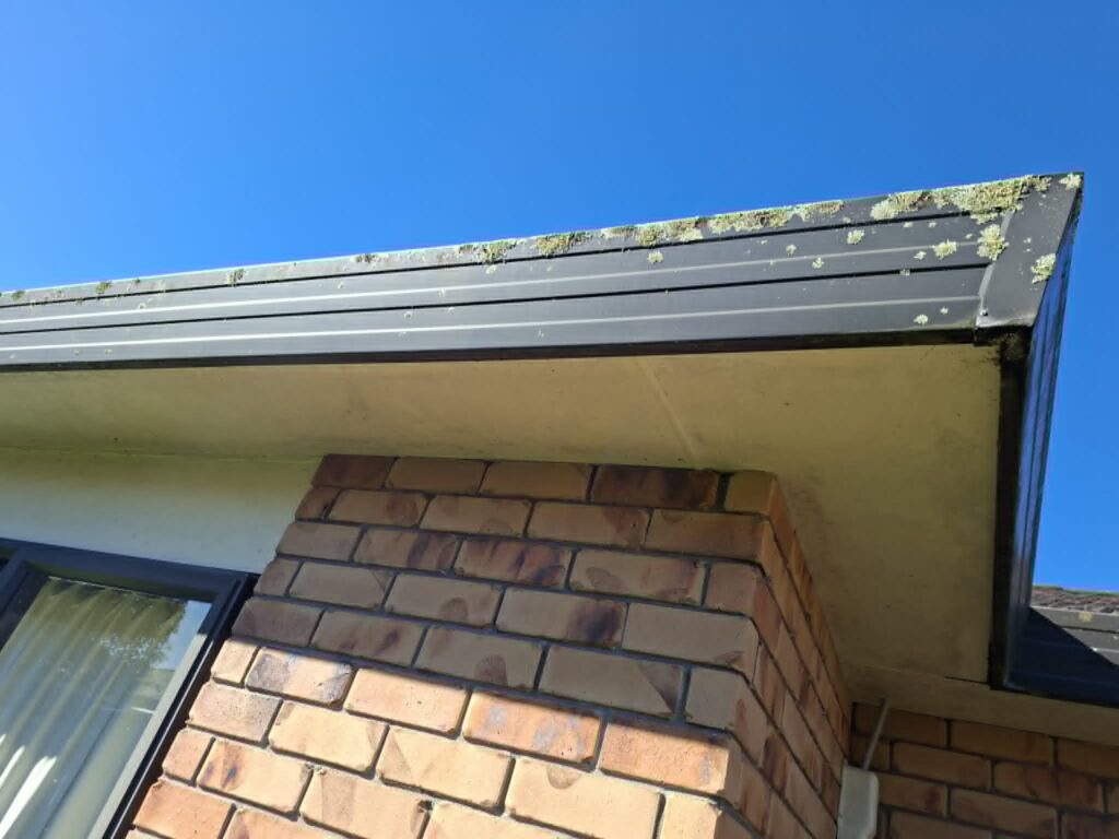 Water BlastingSoft WashingLichen Removal